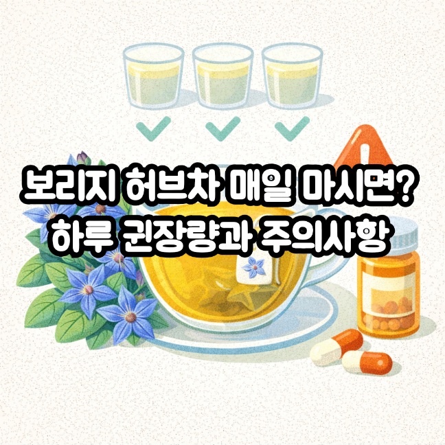 보리지 허브차